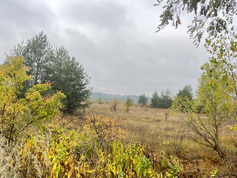 участок по адресу Єдності ул.
