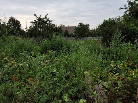 ділянка за адресою 