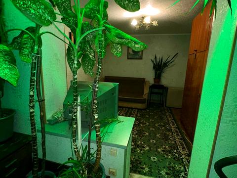 квартира за адресою Братства Тарасівців вул. (Декабристів), 9-А