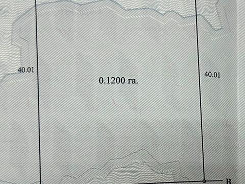 участок по адресу с. Зазимье, 