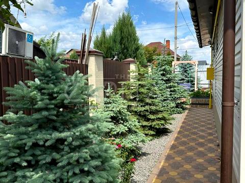 комерційна за адресою Чубинського, 24