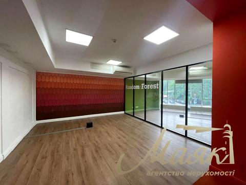 комерційна за адресою Гетьмана Павла Скоропадського вул. (Льва Толстого), 1