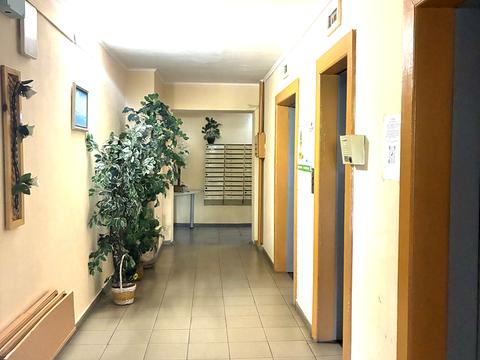 комерційна за адресою Братства Тарасівців вул. (Декабристів), 12/37