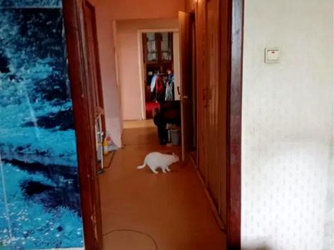 квартира по адресу Виктора Чукарина ул., 30