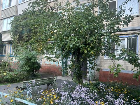 квартира по адресу Дарницкий бульв., 15