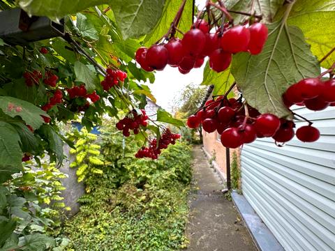будинок за адресою Кичеївська