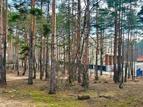 участок по адресу Кільцева