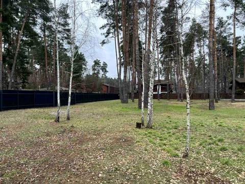 участок по адресу Сосновый Бор ул.