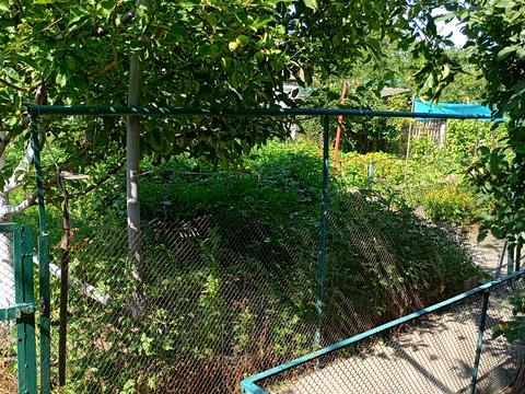 дом по адресу 2-й Чорноморський провулок