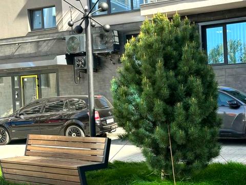 квартира по адресу Гетмана Мазепы ул., 160а