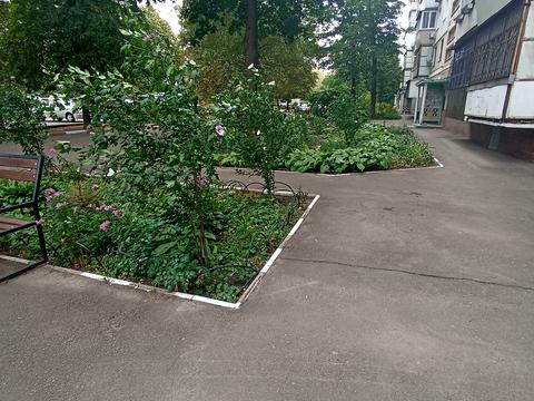 квартира по адресу Европейская ул. (Малиновского), 12