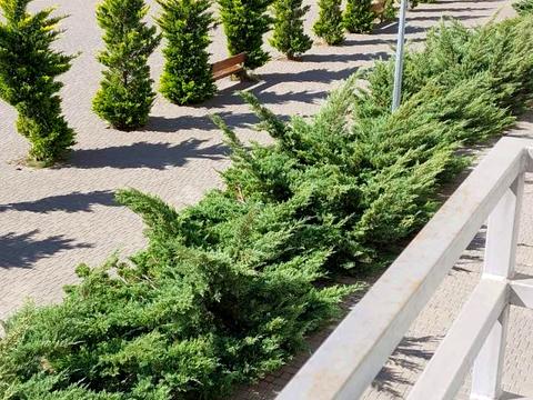 квартира за адресою Николая Боровского, 1/16