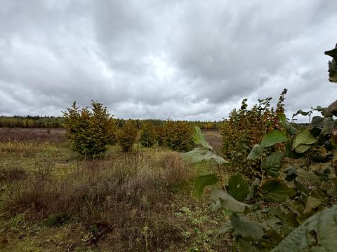 участок по адресу 
