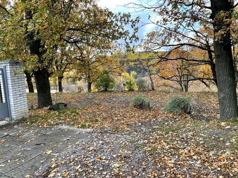 ділянка за адресою с. Великі Дмитровичі, 