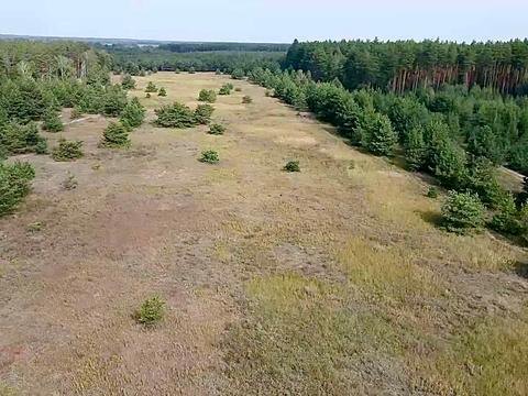 участок по адресу с. Сувид, 