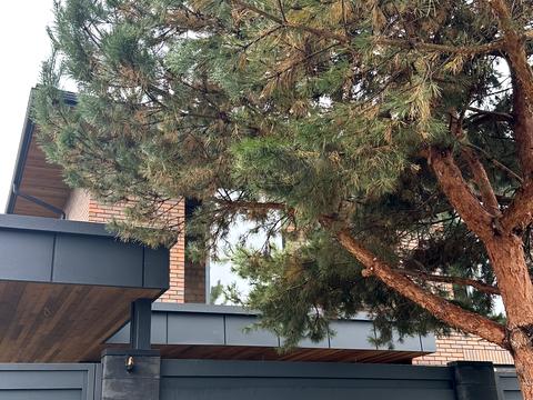 будинок за адресою Центральна вул.