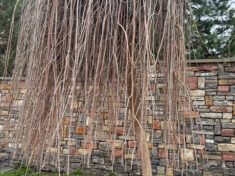 дом по адресу  ул.