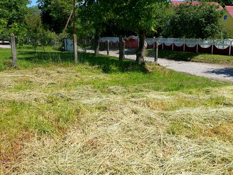 ділянка за адресою с. Писарівка, козацької слави