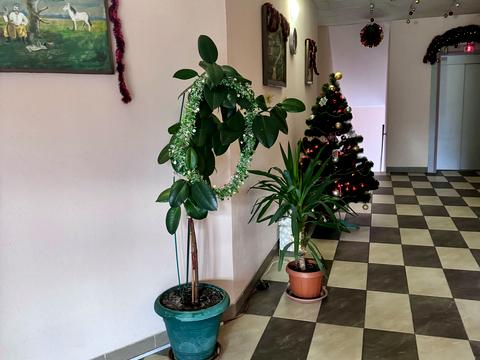 квартира за адресою Чорногірська вул., 14