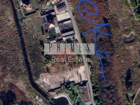 участок по адресу пгт. Козин, 