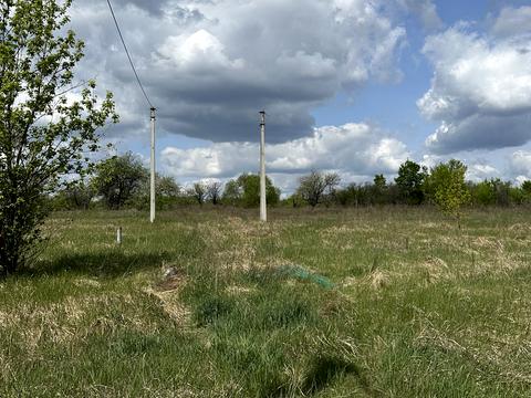 ділянка за адресою смт. Гостомель, Рильського, 18