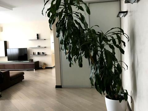 квартира по адресу Николая Амосова ул., 4
