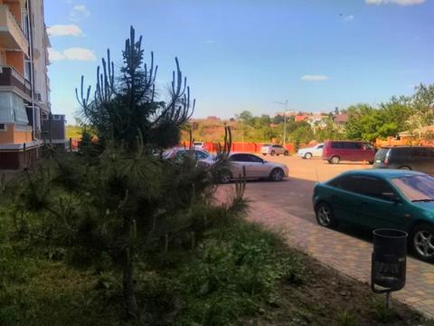 квартира по адресу с. Бурлачья Балка, Приміська, 1