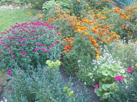 квартира за адресою Замостянська, 42