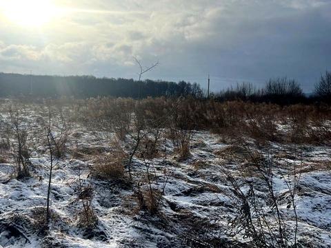 участок по адресу старе село