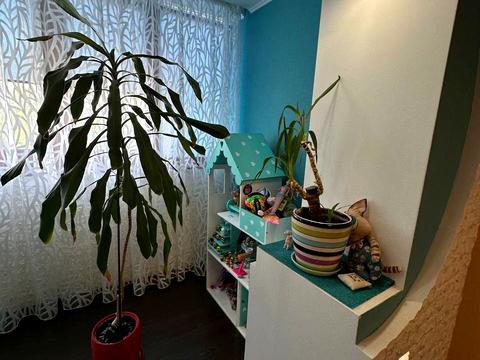 квартира по адресу Янтарная ул., 79