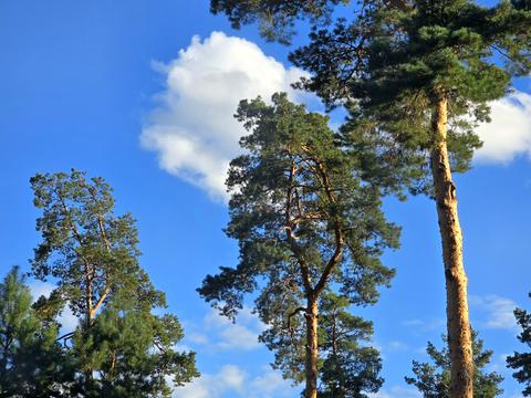 будинок за адресою Олени Теліги вул. (Лермонтова)