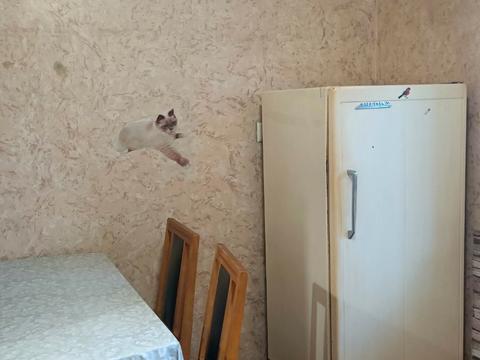 квартира по адресу Чернобыльская ул., 18