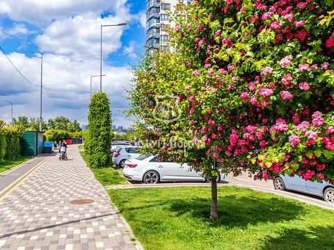 квартира за адресою Зарічна вул., 7
