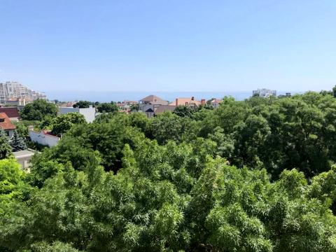 квартира по адресу Аркадиевский пер., 9/1