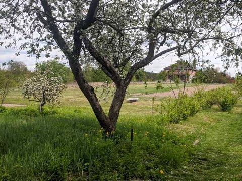 участок по адресу с. Бобрица, козацька