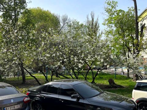 квартира по адресу Катерини Білокур ул., 4