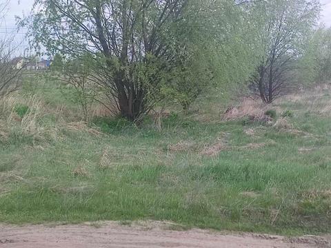 участок по адресу Старе село, 170