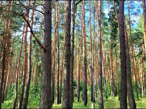 будинок за адресою Богдана Хмельницького вул., 87