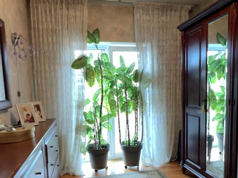 будинок за адресою Олійника вул., 11