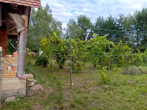 дом по адресу с. Глиница, Ясний, 5