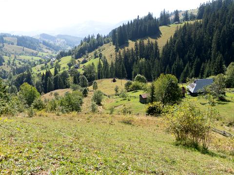 участок по адресу пгт. Верховина, 