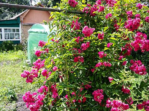 ділянка за адресою Синьоозерна вул.