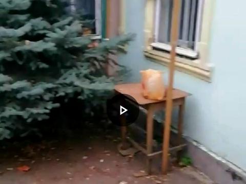 дом по адресу Цветочная ул.