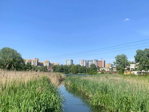 ділянка за адресою Берегова