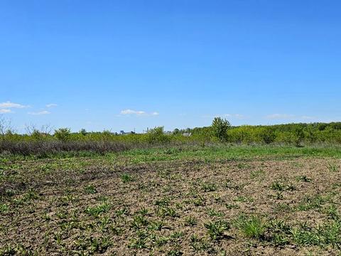 ділянка за адресою вул. Івасюка