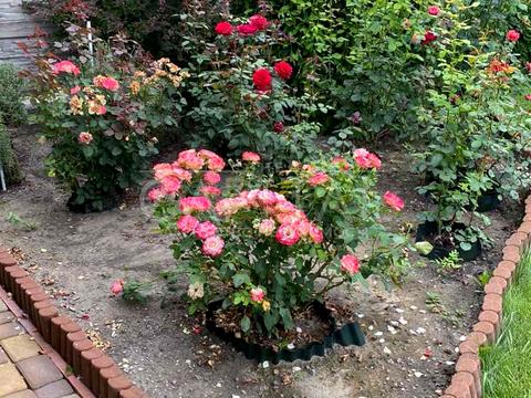 будинок за адресою озерна