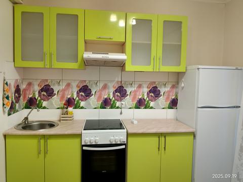 квартира по адресу Бориса Гмыри ул., 16