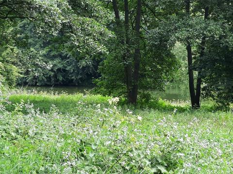 будинок за адресою Івана Франка, 48