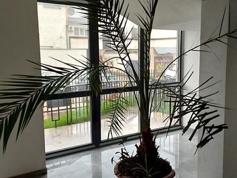 квартира за адресою Бориса Тлехаса вул., 9