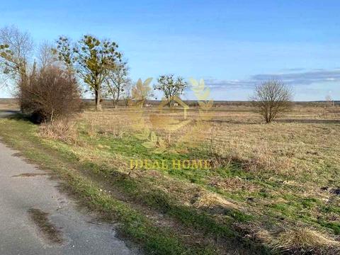 ділянка за адресою Лісова вул. (Петровського), 1